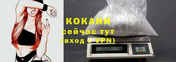 мдпв Вязьма