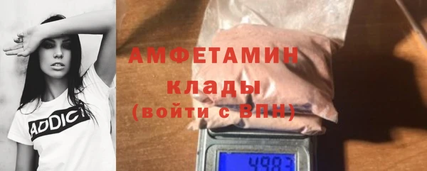прущие грибы Сясьстрой