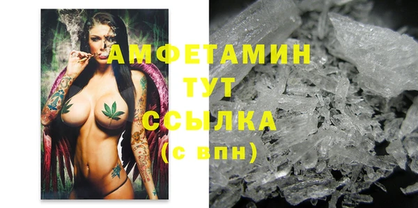 мдпв Вязьма