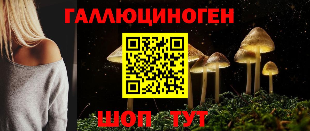 Мончегорск  Галлюциногенные грибы Magic Shrooms  Псилоцибиновые грибы мицелий  Вход с VPN 